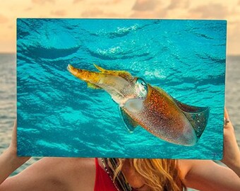 Squid Hovering in Blue Ocean Water, Original Underwater Photography, Ocean Metal Wall Art, Nautical Beach Decor, Nature Photos, Modern Art