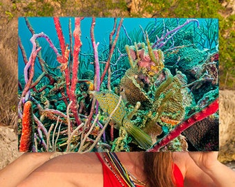 Filefish in Colorful Coral Reef, Original Underwater Photography, Ocean Art Print on Aluminum, Metal Wall Art, Blue Water, Yellow Fish