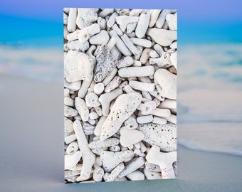 White Coral Texture: Modern Abstract Metal Print, Original Underwater Photography, Ocean Metal Wall Art, Nautical Beach Decor, Nature Photos