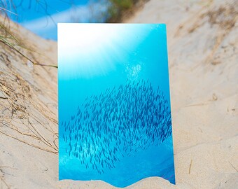 Blue Baitball: Small fish Silhouetted by Bright Sun Rays, Original Underwater Photography, Ocean Metal Wall Art, Nautical Beach Decor, Water