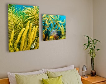 Yellow Feather Duster Collection: Gorgonian Soft Coral, Original Underwater Photography, Ocean Metal Wall Art, Nautical Beach Decor, Nature