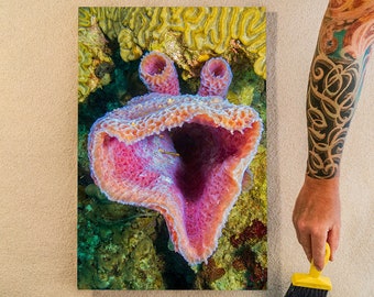 Muppet Giggles: Azure Vase Sponge Smiles in Pink and Blue, Original Underwater Photography, Ocean Metal Wall Art, Nautical Beach Decor