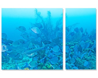 An Evening in Mystical Blue: 2 Panel Modern Art Print, Original Underwater Photography, Ocean Metal Wall Art, Nautical Beach Decor, Nature