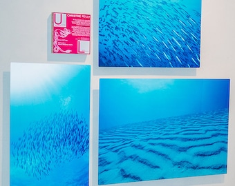 Blue World Collection: Ocean Saltwater, Sand and Silver Fish, Original Underwater Photography, Ocean Art Print on Aluminum, Metal Wall Art
