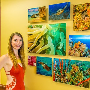 Yellow Soft Coral and Purple Anemone, Original Underwater Photography, Ocean Art Print on Aluminum, Metal Wall Art image 6