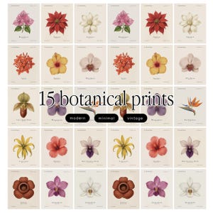 Pode incluir: Quinze estampas botânicas com diversas flores coloridas, incluindo orquídeas e hibiscos. As estampas são dispostas em uma grade, com o texto "15 botanical prints" e as palavras "modern, minimal, vintage" abaixo.