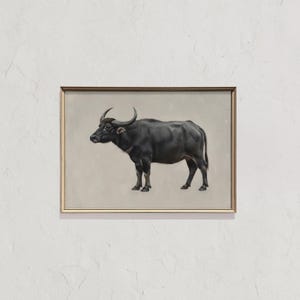 Op de afbeelding: Een ingelijst kunstwerk met een zwarte waterbuffel. De buffel is realistisch weergegeven tegen een neutrale achtergrond. Het kunstwerk is ingelijst in een goudkleurige lijst, wat een vleugje elegantie toevoegt.