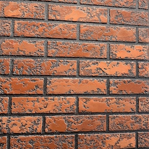 Puede incluir: Primer plano de una pared de ladrillos con superficie texturizada. Los ladrillos son de color marrón rojizo con áreas más oscuras y moteadas. El mortero entre los ladrillos es gris oscuro, creando un contraste.