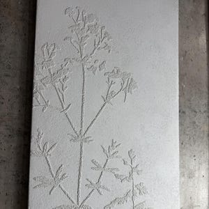Puede incluir: Panel rectangular blanquecino con un diseño botánico en relieve. El diseño presenta una representación detallada de una planta con tallos delgados, hojas y delicados racimos de flores. La superficie texturizada añade profundidad a la obra.