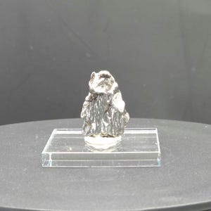 Campo del Ceilo Meteorite 12.12g