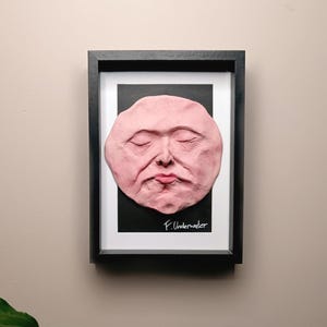 May include: A framed artwork featuring a pink 3D sculpture of a face with closed eyes. The sculpture is set against a black background and the frame is black. The artist's signature, "F. Underwater", is written in black ink at the bottom of the artwork.