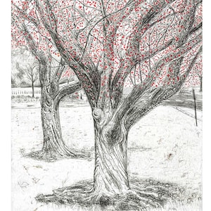 Limited run prints (25) of original artwork done in pen and ink.