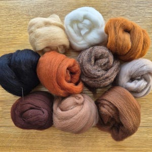 Pacchetto di lana vergine pura da 100 g - Confezione assortita Merino e Corriedale - 10 gomitoli ciascuno