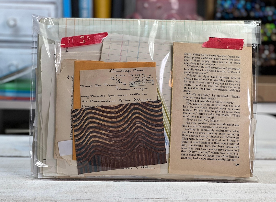 Journal Fodder Collage/ephemera/ Journal Fodder - Etsy