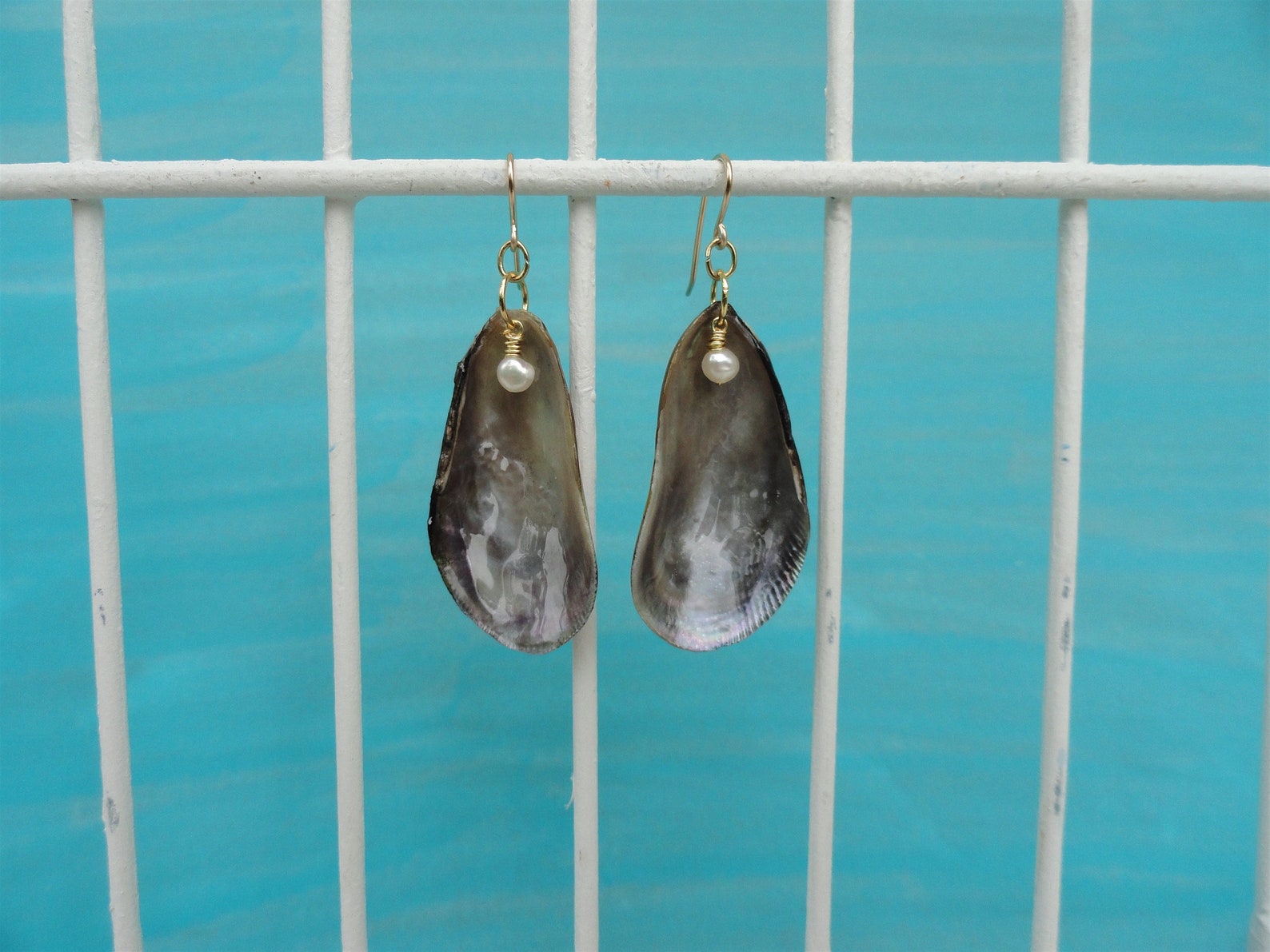 Conchas de mejillón concha de mejillón Perlas de agua dulce Etsy