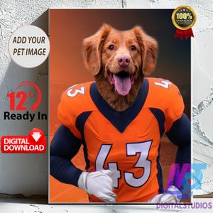 Retrato personalizado de cachorro de futebol americano. Retrato de animal de estimação de Denver Jersey. Retrato de animal de estimação esportivo. Retrato personalizado de animal de estimação. Retrato engraçado de animal de estimação.