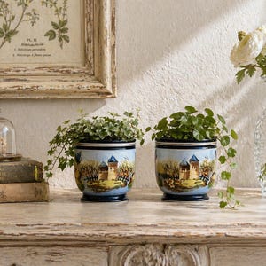 Peut inclure: Deux pots de fleurs en céramique avec un motif de paysage bleu et blanc, chacun rempli de plantes vertes. Les pots sont posés sur une surface en bois clair, avec une impression botanique encadrée et un vase en verre de fleurs blanches en arrière-plan.