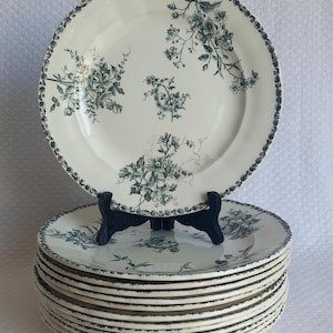 Puede incluir: Una pila de platos llanos redondos de cerámica en color blanco roto con un patrón floral botánico de color verde oscuro. Los platos tienen un borde floral decorativo y racimos de flores dispersos por la superficie central de cada plato.