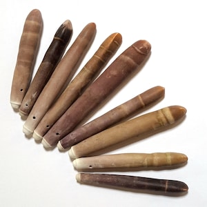Puede incluir: Colección de conchas marinas fosilizadas, alargadas y cilíndricas, en tonos marrones y beige. Cada concha tiene una punta redondeada y un pequeño agujero cerca de la base. Las conchas están dispuestas sobre una superficie blanca.