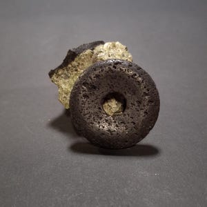 Può includere: Una pietra grigio scuro a forma di anello con un foro centrale, posta davanti a una roccia ruvida, verde chiaro e nera. La pietra ha una superficie strutturata e lo sfondo è grigio.