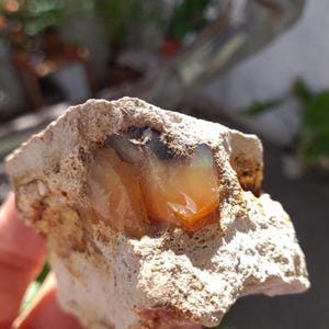 May include: A rough, grey rock with a small, iridescent opal embedded inside. The opal is a light orange colour with flashes of green and blue.