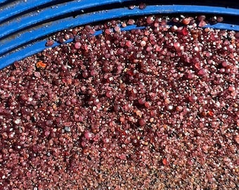 Starter Gem Paydirt – 1.5 lb Garnets, Sapphire, Peridot Gravel – Gold Panning Mix