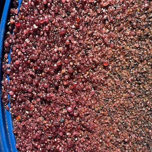 Western Gem Paydirt – Garnet, Sapphire, Peridot Gravel Mix (10 lbs)