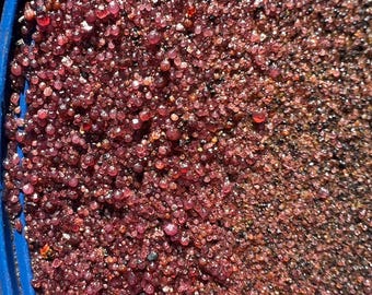 Western Gem Hunt Paydirt - Garnet, Sapphire & Peridot Gravel -Montana Sapphire Tailings- Gold panning and  Gem Sifting mix - 10lbs