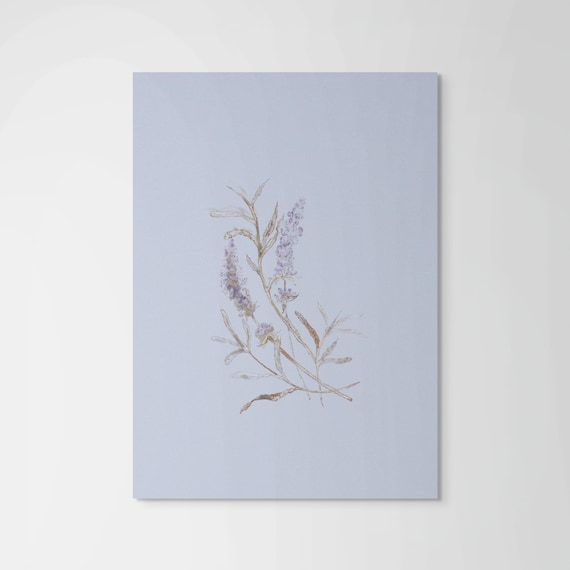 Fine Art Print  •  Lavender Botanical Illustration  •  Periwinkle