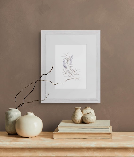 Framed Print • Lavender Botanical Illustration • White Pastels