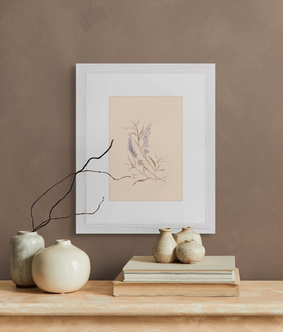 Framed Print •  Lavender Botanical Illustration •  Peach Hues