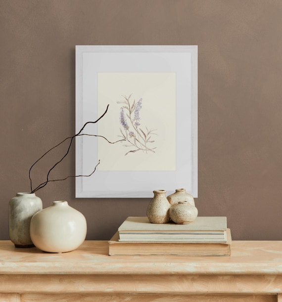 Framed Print • Lavender Botanical Illustration • Cream