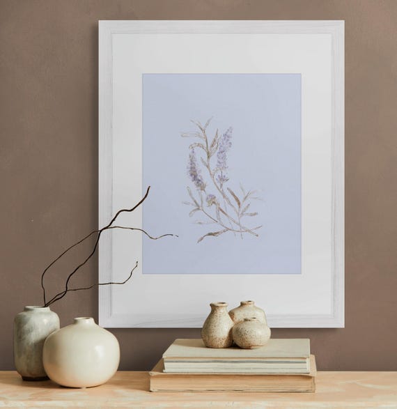 Framed Print • Lavender Botanical Illustration •  Periwinkle Hue