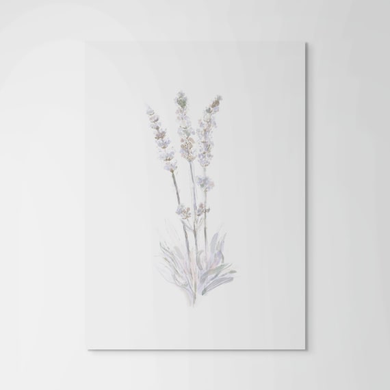 Fine Art Print  •  Lavender Botanical Illustration  •   Whimsical Pastels