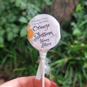 Honey Lollipops Orange Blossom (1 dozen)