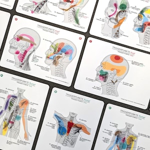 Triggerpunkte | 13 Karten DIN A6 | Selbsthilfe | Schmerzen | Gesundheit | Physiotherapie | Osteopathie | Muskeln | Postkarten | Geschenk