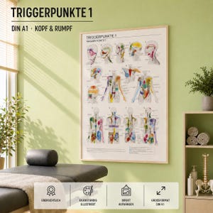 Könnte beinhalten: Ein rechteckiges anatomisches Poster mit dem Titel TRIGGERPUNKTE 1, das detaillierte Illustrationen von Kopf und Rumpf mit farbig hervorgehobenen Triggerpunkten zeigt. Die Tafel enthält Textbeschriftungen und Diagramme zu verschiedenen Muskelgruppen.