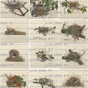 Antique Bird Nest Images, Set 5; 12 images; 2 sizes each; 2 finishes each