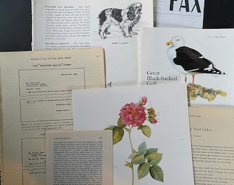 Ecclectic Mix Vintage Book Pages and Papers