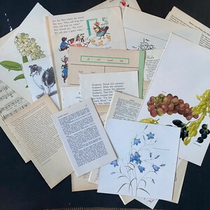 Op de afbeelding: Een verzameling vintage papieren met verschillende illustraties en tekst. De papieren bevatten een hen met kuikens, een hond, een bloem, druiven, een klokjesbloem en muzieknoten. De tekst bevat woorden als "alles", "lang", "klein", "vallen" en "bed".