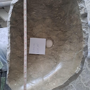 Seagrass Fossil Limestone, Rustic Natural Stone, Vessel Sink, Interior-Polished / Exterior-Hand Split (W)16" (L)20" (H)5"