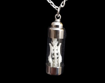 Real Tiny Mouse Spine Vertebrae Sacrum In Glass Tube Vial Display On Silver Chain Taxidermy Necklace