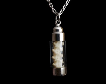 Real Tiny Boa Constrictor Snake Spine Vertebrae Sacrum In Glass Tube Vial Display On Silver Chain Taxidermy Necklace