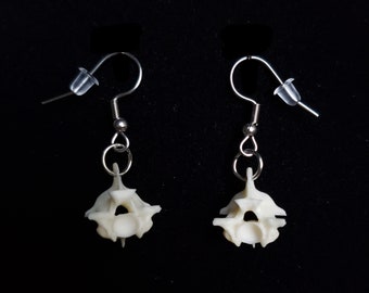 Real Boa Constrictor Vertebrae Spine Bones Simple Dangle Earrings