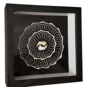 May include: A framed, abstract art piece featuring a white, spiral-like design on a black background. The design is composed of curved, bone-like elements, with a central, light-colored shape. The frame is black and square, with a clear glass cover.