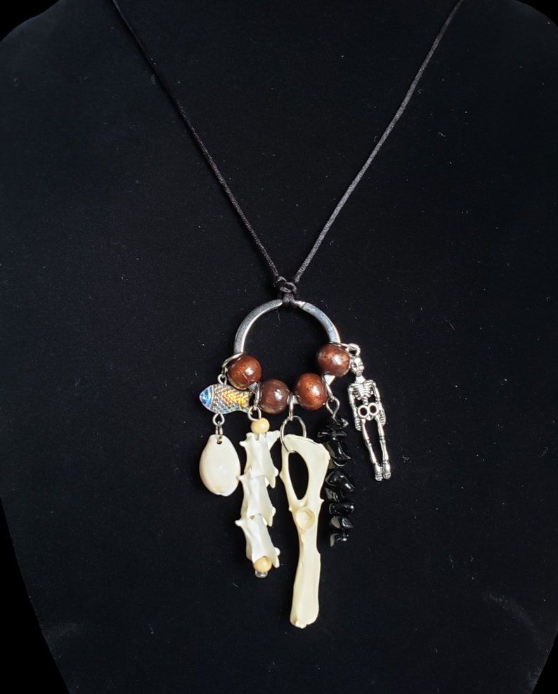 Real Iguana Spine Vertebrae And Guinea Pig Hip Bones Accented With Onyx Stones And Shells On A Black Silk Cord Taxidermy Necklace image 2