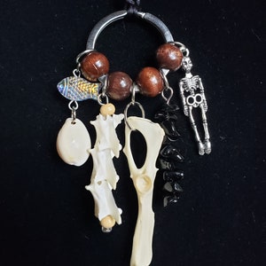 Real Iguana Spine Vertebrae And Guinea Pig Hip Bones Accented With Onyx Stones And Shells On A Black Silk Cord Taxidermy Necklace image 1