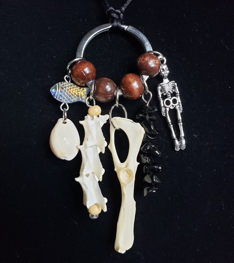 Real Iguana Spine Vertebrae And Guinea Pig Hip Bones Accented With Onyx Stones And Shells On A Black Silk Cord Taxidermy Necklace image 1