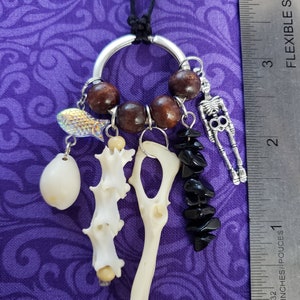 Real Iguana Spine Vertebrae And Guinea Pig Hip Bones Accented With Onyx Stones And Shells On A Black Silk Cord Taxidermy Necklace image 4