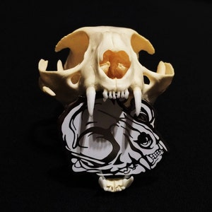 Limited Edition Hard Enamel Domestic Cat Skull Lapel Hat Pin Designed From Hand Drawn Art image 2